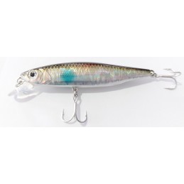 Mogul Minnow 66 Suspending...