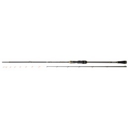 Team Daiwa Tenya Solid Slow...